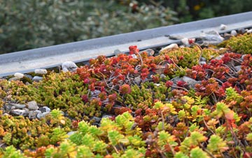the cost of Lower Burrow green roof installation