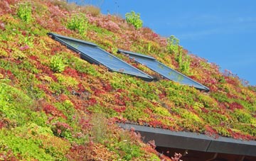 Lower Burrow living roof systems
