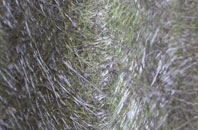 Lower Burrow fibreglass roof work